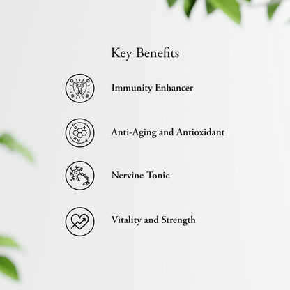 Sitaram Ksheerabala 101 Soft Gelatin Capsules 100Nos, Ayurvedic Formula- image 5