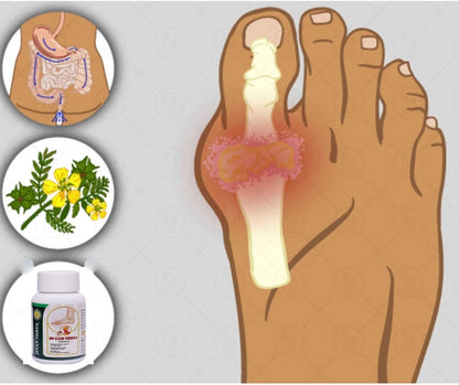 Uri lear Formula Joint Pain Capsules - Uric Acid Ayurvedic Herbal Joint- image 7