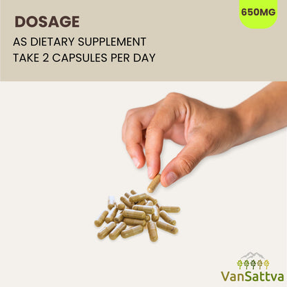 VanSattva Vidanga Capsule – 60 Caps, 650mg each