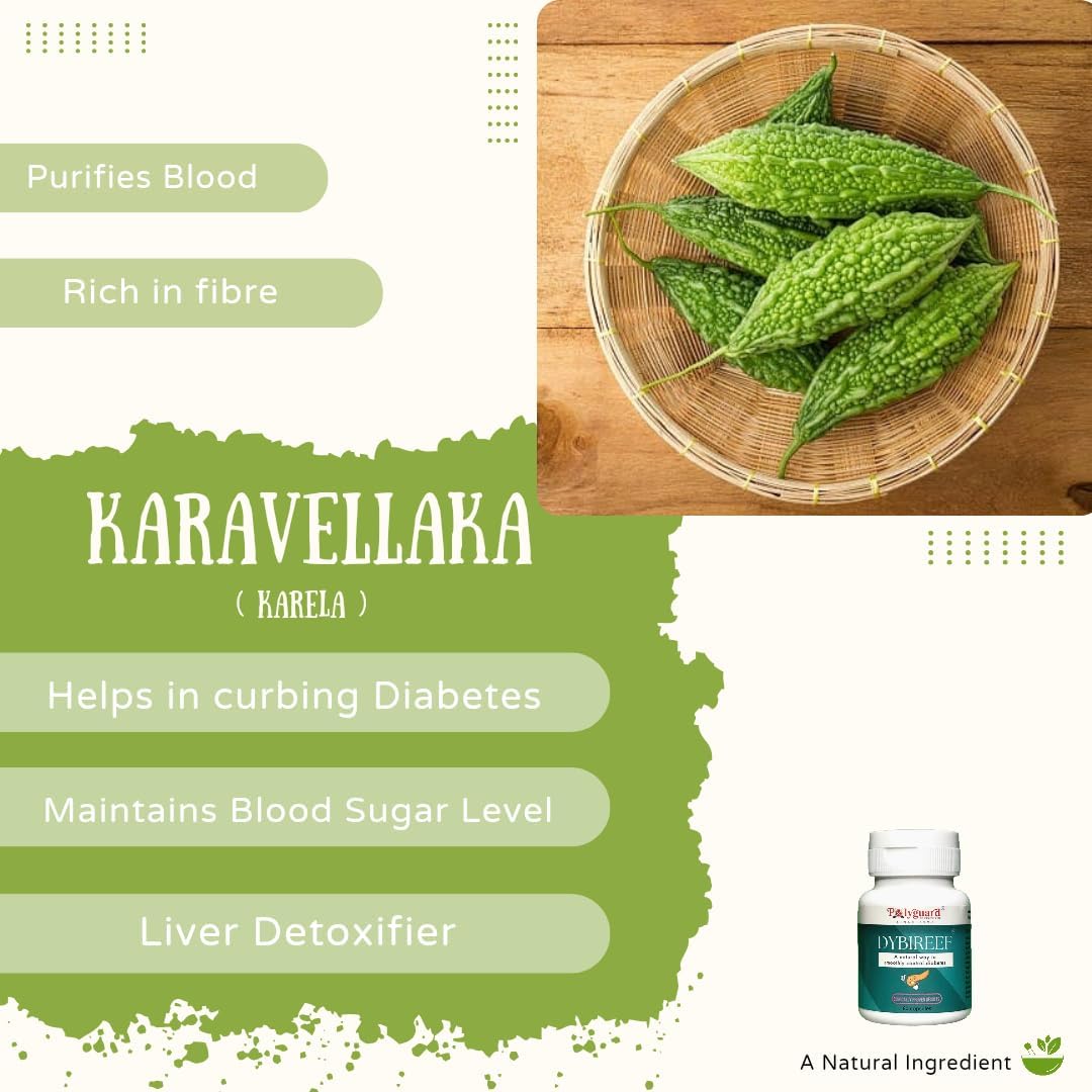 Dybireef capsules | ayurvedic medicine for sugar control | insulin resistance | Helps to reverse diabetes naturally