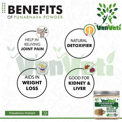 VANVATI Pure Punarnava Powder Herbal Powder For Kidney Health Care And Wellness 100gm