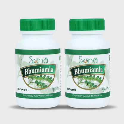 SONA HEALTH CARE Bhumi Amla, 60 Capsule(Pack of 2)