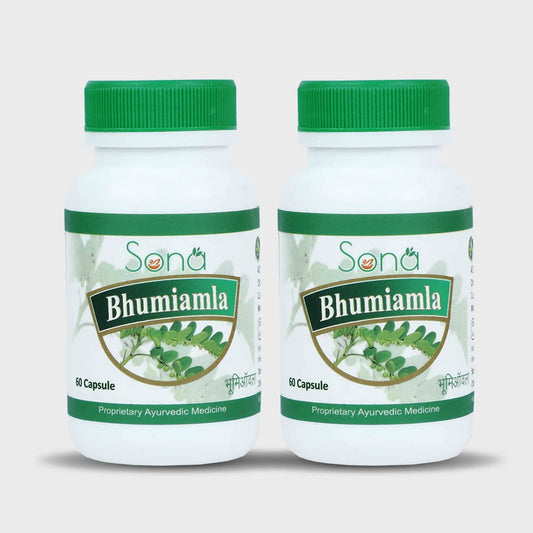 SONA HEALTH CARE Bhumi Amla, 60 Capsule(Pack of 2)