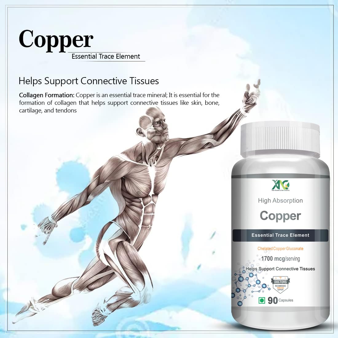 ANC Chelated Copper Gluconate – Support Connective Tissues –1700mcg – 90 Capsules