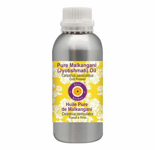 Deve Herbes Pure Malkangani (Malkangani/Jyotishmati) Oil (Celastrus paniculatus)