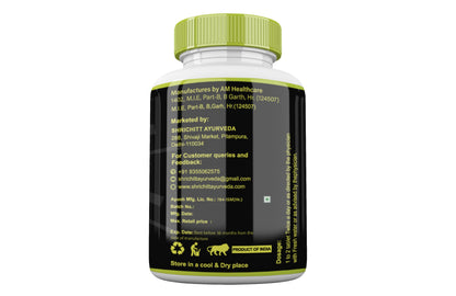 Shrichitt Ayurveda Pushtikaya Tablets for Healthy | Herbal Ayurvedic Supplement for Strength & Nutrition Support (60 Tablets Pack of 1)
