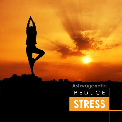 Herb Essential Pure Ashwagandha Powder 50 g- image 4