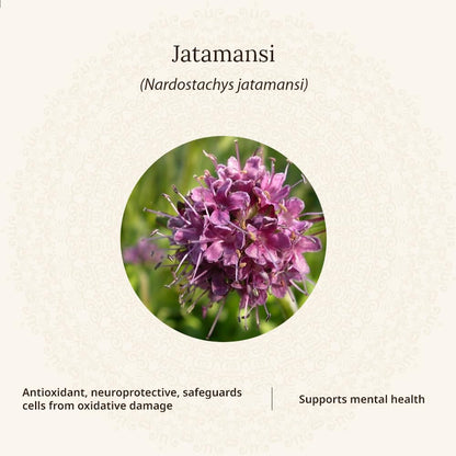 Amarantha Nu-Aristress Tablets | supports Calmness & Mental Relaxation | For Men & Women | 60 Tablets| Contains standardized extracts of Ashwagandha, Brahmi, Shankhapushpi, Chamomile, Passion Flower, Magnesium & Vitamin B6