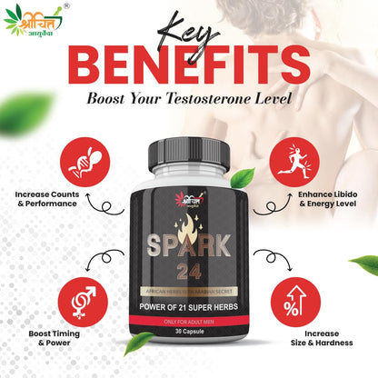 Shrichitt Ayurveda Spark 24 Herbal Capsules | Ayurvedic Herbal Supplement | 30 Capsules (Pack of 1)