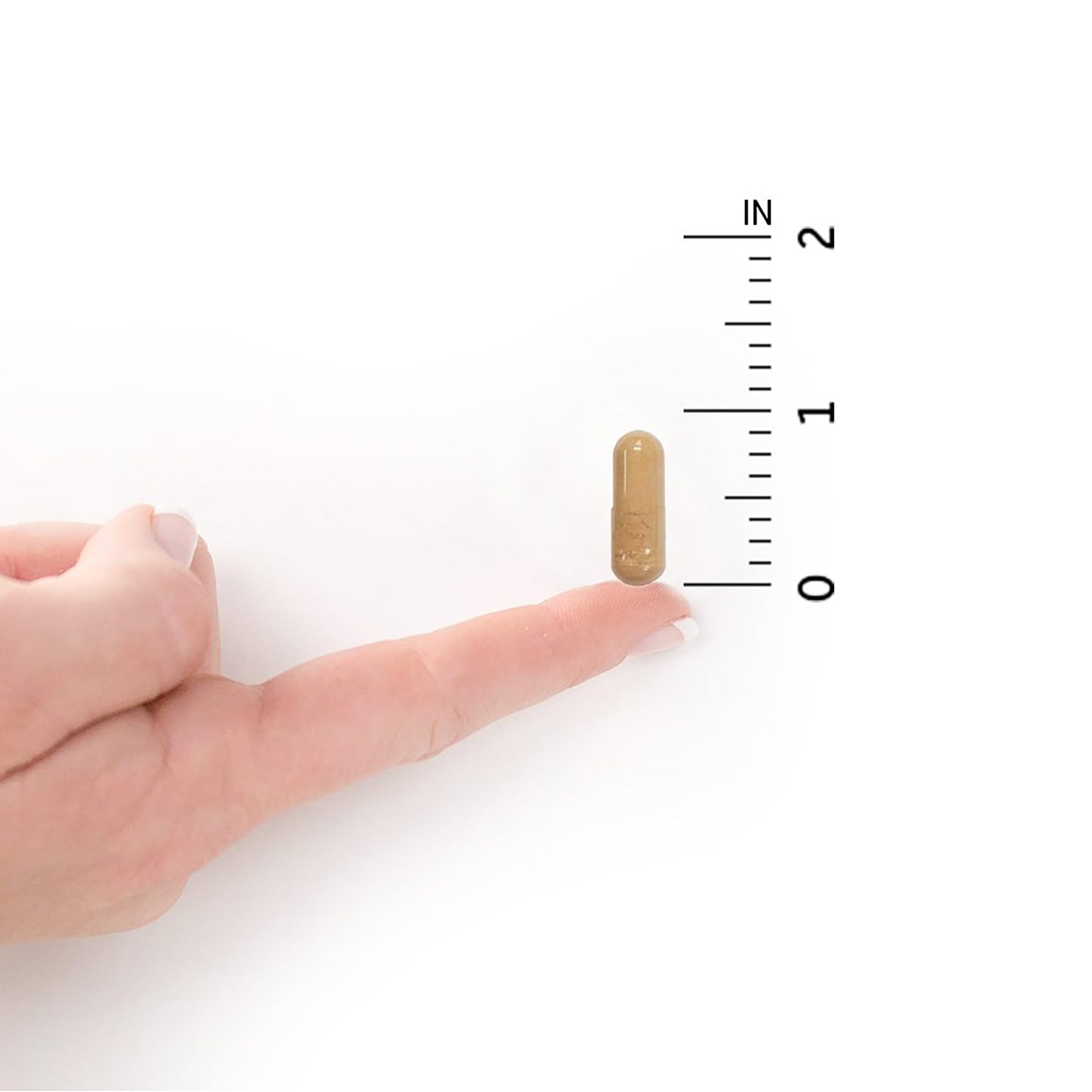 Garden of Life, RAW Probiotics, Ultimate Care, 30 Veggie Caps- image 7