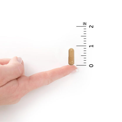 Garden of Life, RAW Probiotics, Ultimate Care, 30 Veggie Caps- image 7