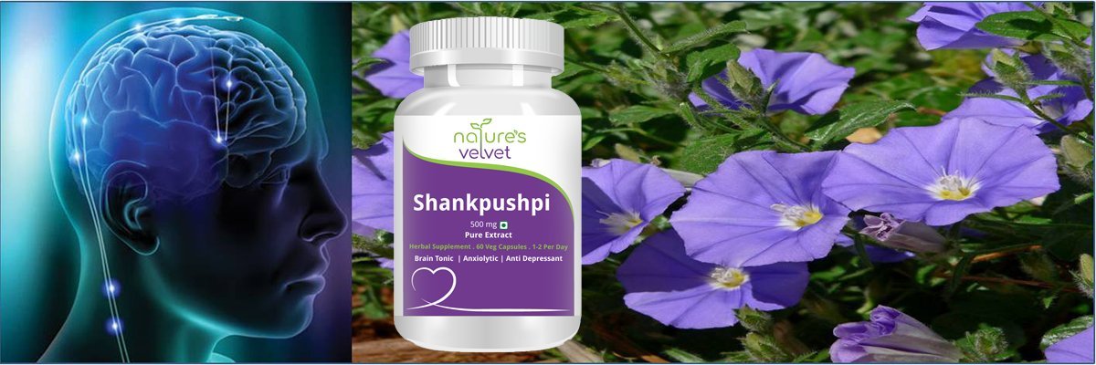 nature's velvet Natures Velvet Lifecare Shankpushpi Pure Extract 500 mg- image 2