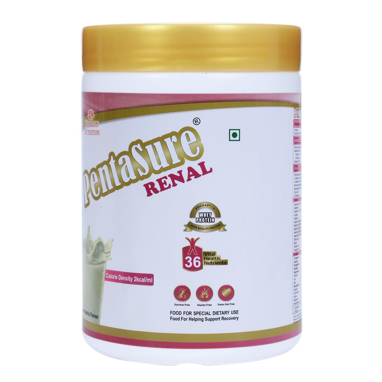 PENTASURE RENAL - Creamy Vanila 400gm- image 4