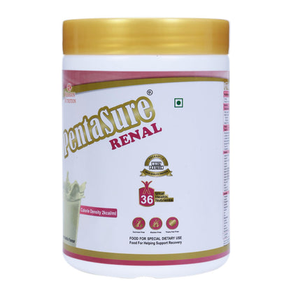 PENTASURE RENAL - Creamy Vanila 400gm- image 4