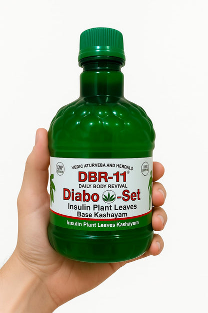 DBR-11 Diabo Set, Insulin Plant Leaves Base Kashayam, Ayurvedic Health Supplement for balancing sugar levels