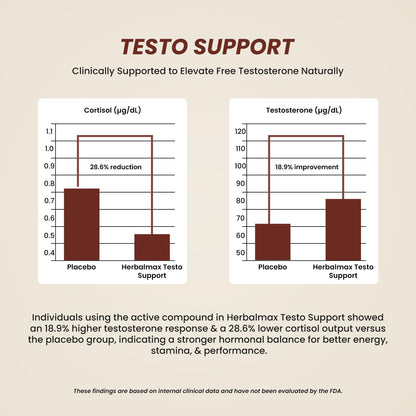 Herbalmax Testo Support Testosterone Supplement | With Gokshura, Safed Musli, L-Arginine & Ashwagandha | Natural Testosterone Booster for Strength, Stamina, Performance & Energy – 60 Tablets
