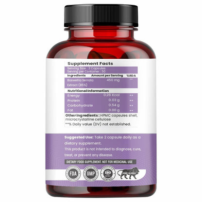 Raskam Boswellia Serrata Extract 100 Veg Capsules (500mg) | Healthy Inflammation Response & Mobility | Non-GMO & Gluten-Free (Pack of 2)