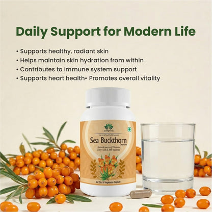 Pushpveda Sea Buckthorn Extract Capsules 500mg | Himalayan Seabuckthorn with Omega 3, 6, 7 & 9 | Natural Antioxidant Supplement for Skin, Immunity & Daily Wellness | Veg Capsules | 60 Capsules