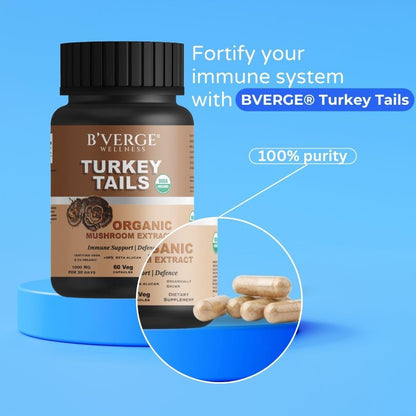 B'VERGE® Turkey Tails mushroom Capsules 500mg | Digestive & Liver Health | Heart health, Stress Relief | Immune Response Support | USDA Organic - 35% Beta Glucan (60 Capsules, 60)