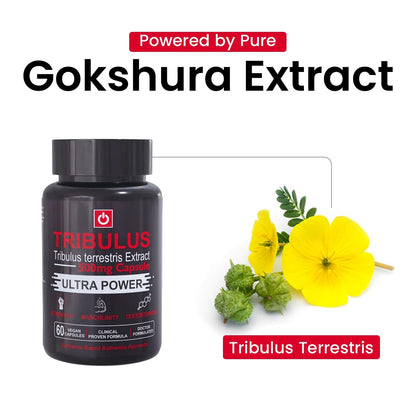 PurshVeda Tribulus Vegan Capsules-500MG | Pack of 60 | Energy & Strength Support