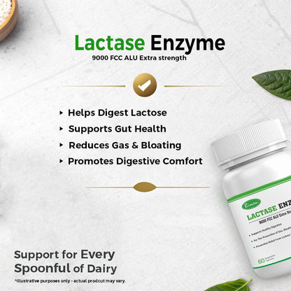 Biovencer Lactase Enzyme 60 Vegetarian Capsules-9000 FCC ALU | Supports Lactose Digestion | Dairy Relief Supplement | Fast-Acting, Non-GMO, Gluten-Free |