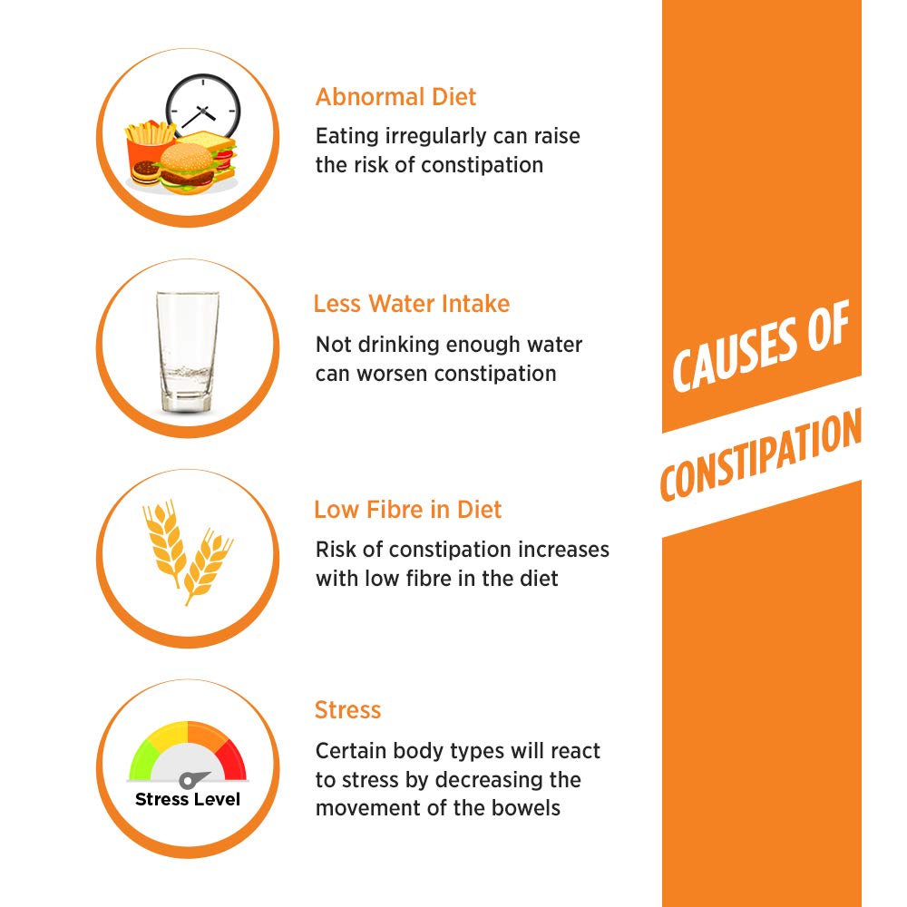 Naturolax-A Isabgol Powder |300g - Pack of 1| Psyllium Husk Powder | No- image 3