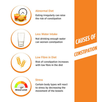 Naturolax-A Isabgol Powder |300g - Pack of 1| Psyllium Husk Powder | No- image 3