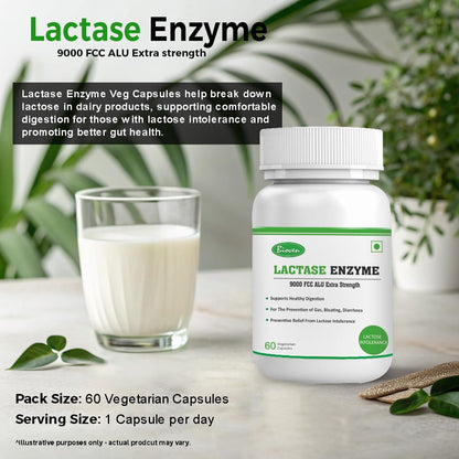 Biovencer Lactase Enzyme 60 Vegetarian Capsules-9000 FCC ALU | Supports Lactose Digestion | Dairy Relief Supplement | Fast-Acting, Non-GMO, Gluten-Free |