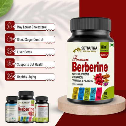 SETNUTRA | Berberine with Milk Thistle Cinnamon, Turmeric & Probiotic |- image 6