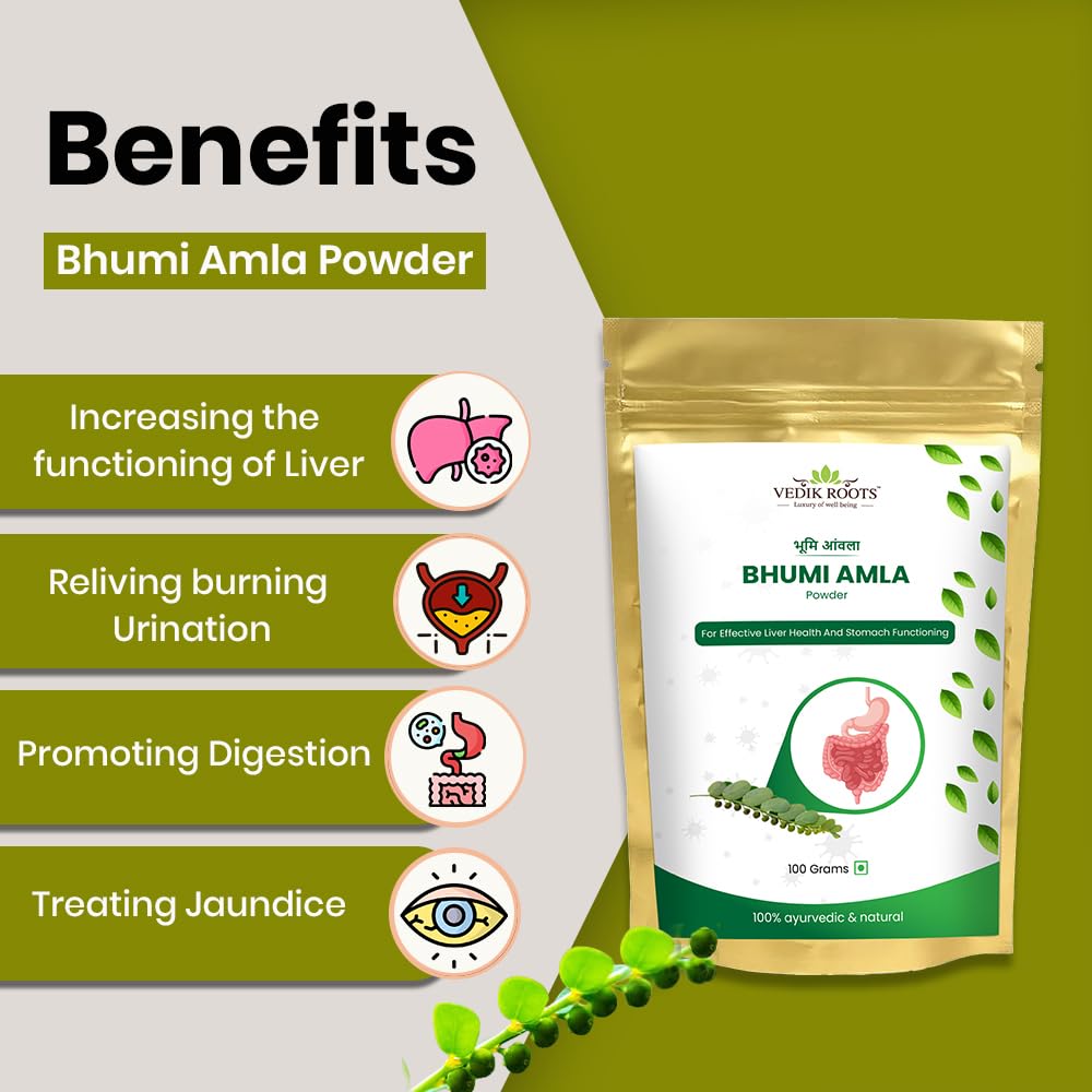 Vedikroots Bhumi Amla Powder/Churn - Organic And Pure Ingredient Extrac- image 4