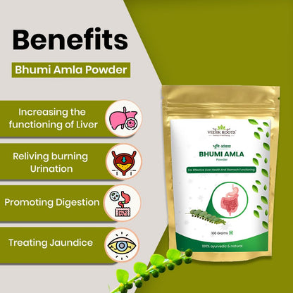 Vedikroots Bhumi Amla Powder/Churn - Organic And Pure Ingredient Extrac- image 4