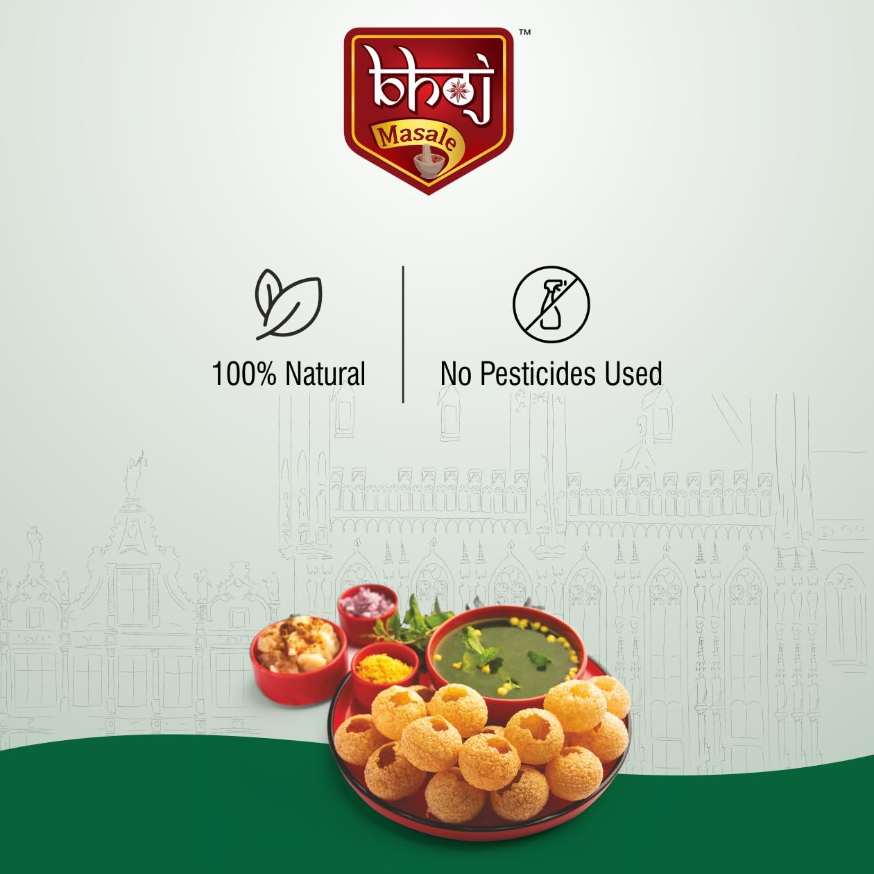 Bhoj Masale Panipuri Masala 200GM | The Authentic Indian Street Food Seasoning | Great for Poochka, Dahi Puri & Bhel