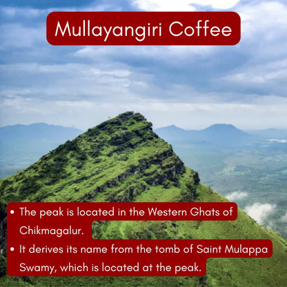 Toffee Coffee Roasters | Mullayanagiri Coffee, Medium Dark Roast, 250 g | Grind: Whole Beans, Single Origin, 100% Arabica | Speciality Coffee | Freshly Roasted