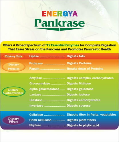PANKRASE Multidigestive Enzyme Supplement | 12 Broad Spectrum Enzymes for Digestive Health | Relieves Gas & Bloating | Supports Nutrient Absorption & IBS Symptoms | 30 Caps