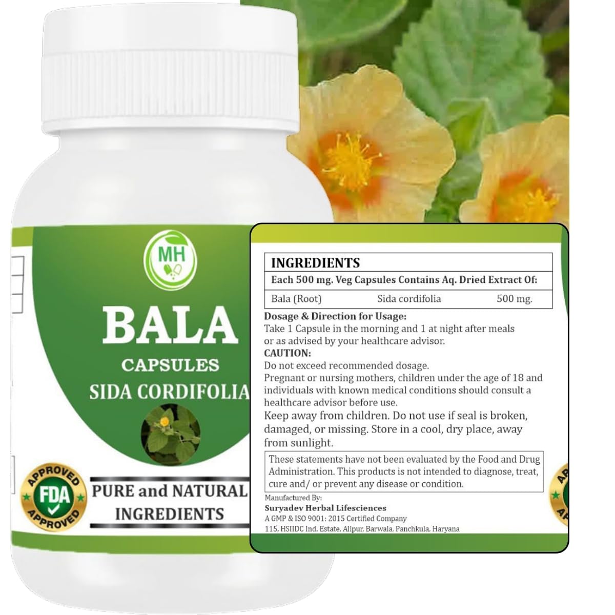 Morsan Healthcare Bala Capsules (Sida cordifolia) | 60 Veg. Capsules 500 Mg. | Made with Natural Ingredients (Pack of 1)