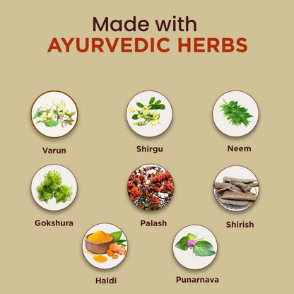 Vedikroots UroEase Ayurvedic Herbal Supplement Capsules to Help Maintain Kidney Health & Uric Acid Level | Provides Support to Manage Urinary Tract | 60 Veg Capsules (Pack of 2)