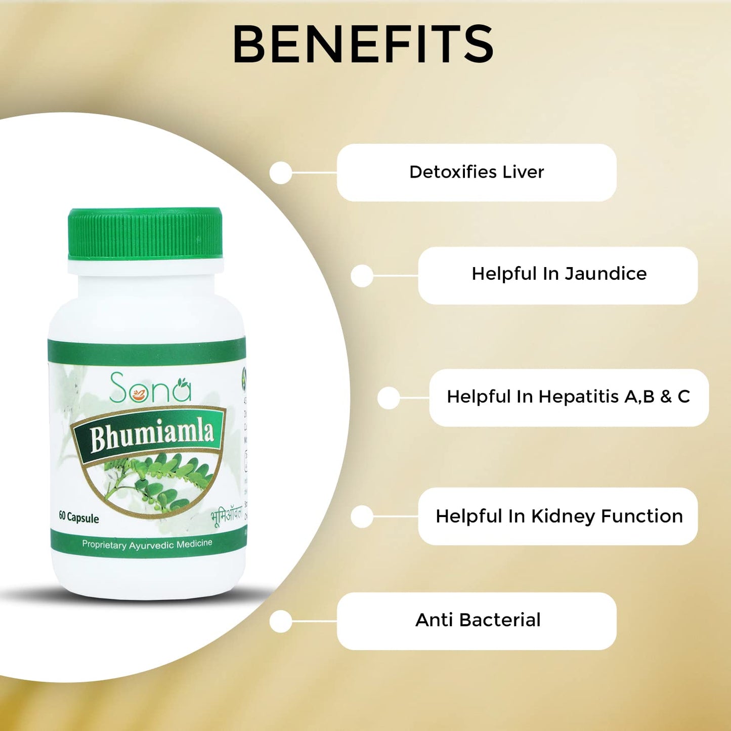 SONA HEALTH CARE Bhumi Amla, 60 Capsule(Pack of 2)
