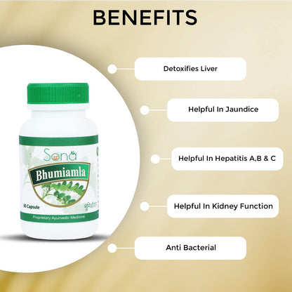 SONA HEALTH CARE Bhumi Amla, 60 Capsule(Pack of 2)