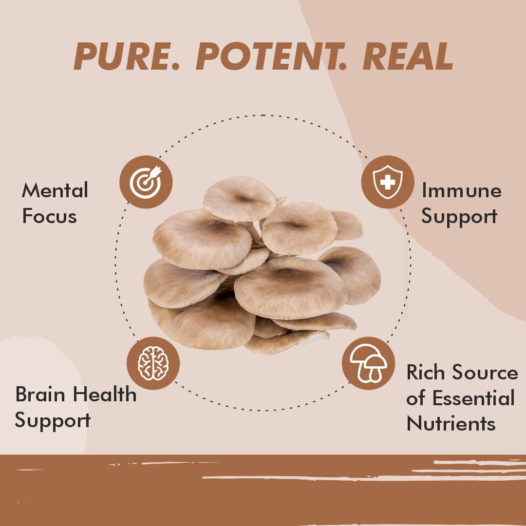 Vitaminnica Oyster Mushroom 500mg- 60 Vegan Capsules | Nootropics for Cholesterol & Blood Sugar Support
