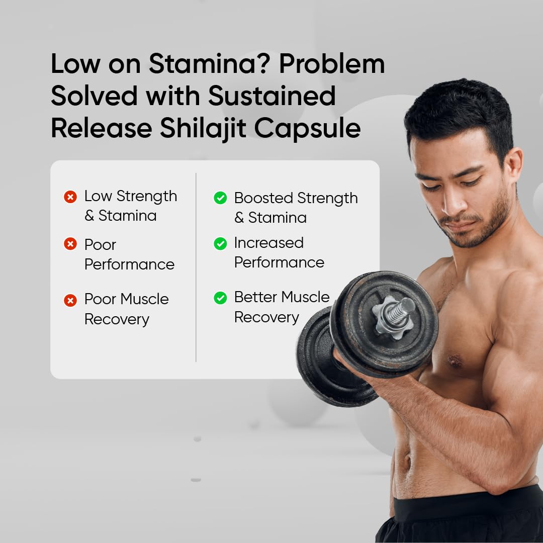 Panchamrit Himalayan Shilajit Sustained Release Capsules for Men & Wome- image 4