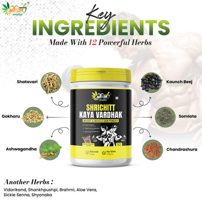 Shrichitt Ayurveda Kaya Vardhak Herbal Nutrition Powder for Weight & Muscle Support | Belgian Chocolate Flavour | 200g (Pack of 1)