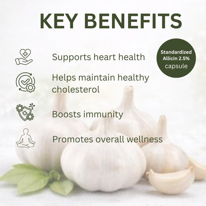 Ayurcaps Garlic 500mg 60 Veg Capsules | Odor Control Herbal Supplement | Supports Heart Health And Healthy Cholesterol Levels | Immune And Antioxidant Support | Vegan, Gluten-free (Pack of 1)