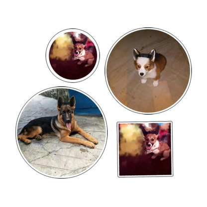 bnf Adjustable Dog Ears Stand up Support Ear Sticker Tape Assist Erected Ear Care Large|Pet Supplies|Dog Supplies|Health Care|Ear Care