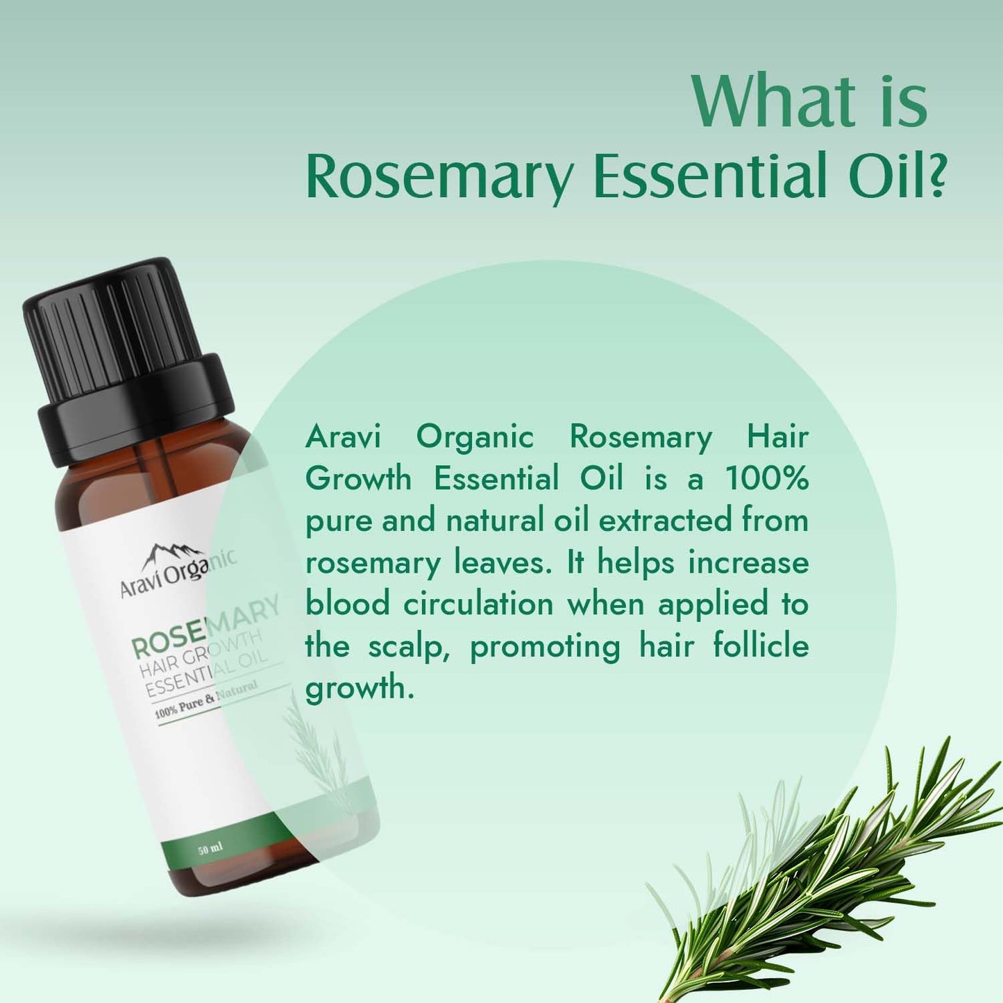 Aravi Organic Rosemary Essential Oil for Hair Growth,Quick Hair Growth Rosemary Oil for Women and Men - 100% Pure Rosemary Leaves Oil - 50 ml