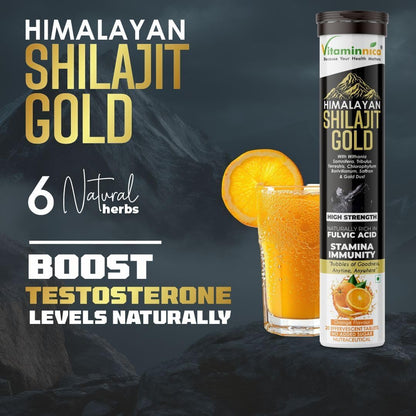 Vitaminnica Himalayan Shilajit Gold Effervescent Tablets, Orange Flavour, High Strength Fulvic Acid, Stamina & Immunity Support, 20 Count (Pack of 2)