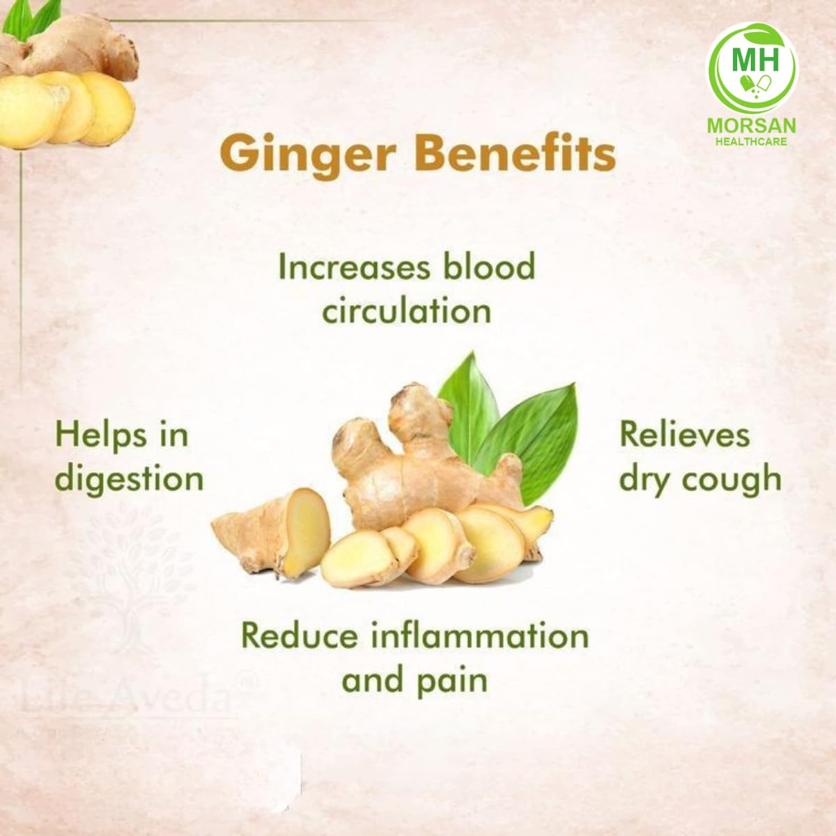 MORSAN HEALTHCARE | Ginger Capsules 500mg – 60 Count | 4 Pack | Vegetarian | Plant-Based | Herbal Supplement | No Artificial Additives | Gluten Free | Organic