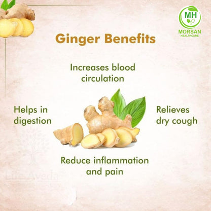 MORSAN HEALTHCARE | Ginger Capsules 500mg – 60 Count | 4 Pack | Vegetarian | Plant-Based | Herbal Supplement | No Artificial Additives | Gluten Free | Organic