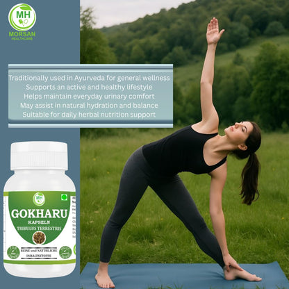 MORSAN HEALTHCARE | Gokharu Capsules 500mg – 60 Count | 1 Pack | Vegetarian | Plant-Based | Herbal Supplement | No Artificial Additives | Gluten Free | Organic