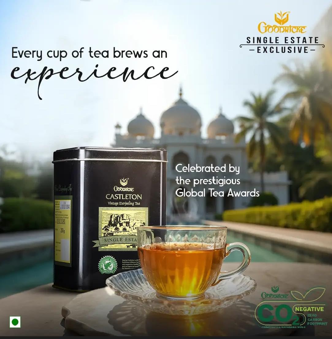 GOODRICKE Castleton Vintage Darjeeling Tea - 250gm (Pack of 1) | Single Estate Whole Leaf | 100% Loose Leaves | Premium Black Tea with Rich Taste & Aroma
