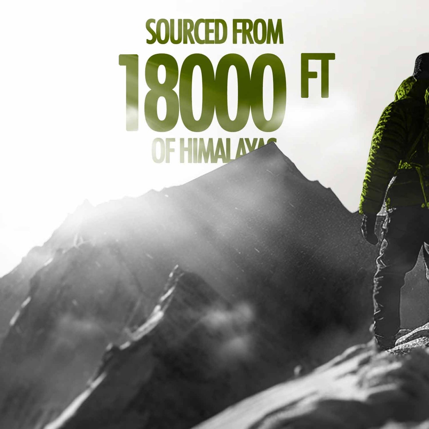 Kapiva Original Himalayan Shilajit for Men | 20g Resin | 250mg/Serving- image 6